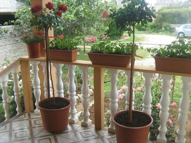 Apartment In Nin With Terrace, Air Conditioning, Wi-Fi المظهر الخارجي الصورة